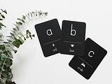Lowercase Animal Alphabet Flash Cards (no bag)